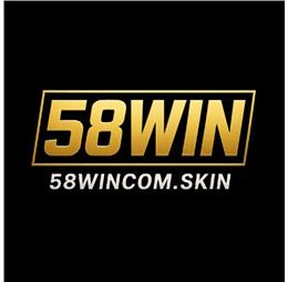58wincomskin