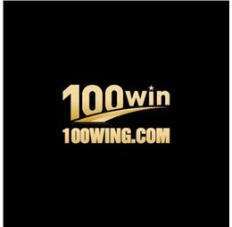 100wingcom