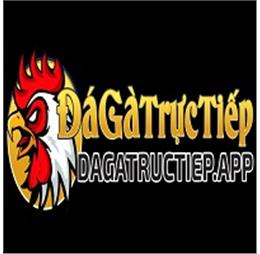 dagatructiepapp