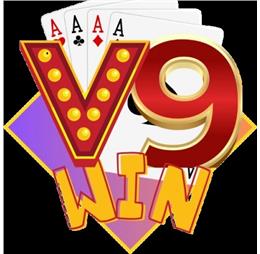 v9wininfo1