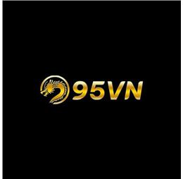 95vnninet