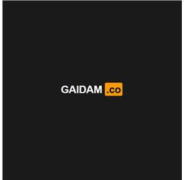 gaidamco1