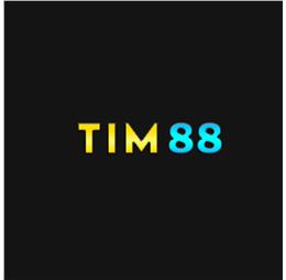 tim88art