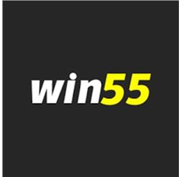 55windev