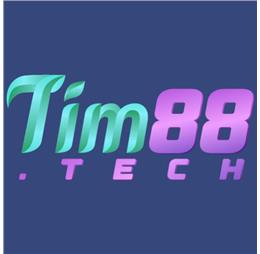 tim88tech