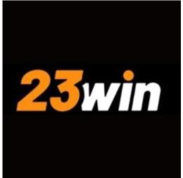 23wingd