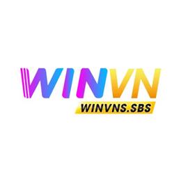 winvnssbs