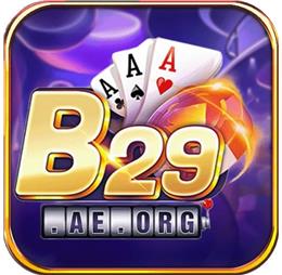 b29aeorg