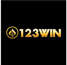 123wincomputer