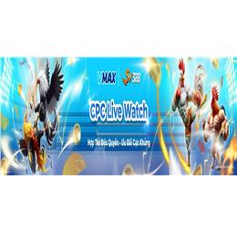 dagavmaxcom
