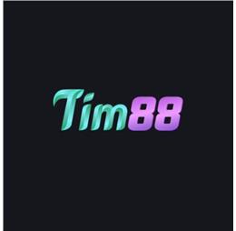 tim88biz