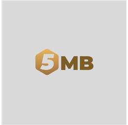 5mbshow