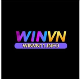 winvn11info
