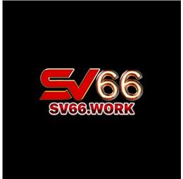 sv66work