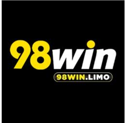 98winlimo