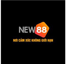 new8885com