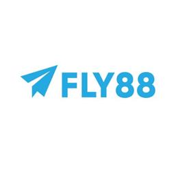 fly88schule