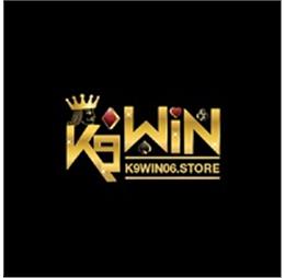 k9win06store