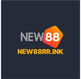 new88rrink