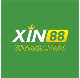 xin88xaeorg