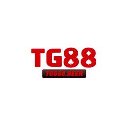 tg888beer