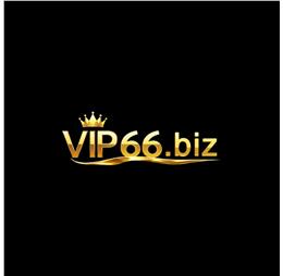 vip66biz
