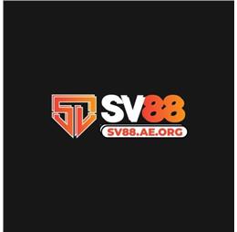 sv88aeorg