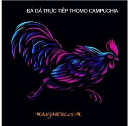 dagatructiepnltip