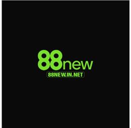 88newinnet
