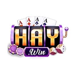 haywin88us