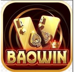 baowin1org