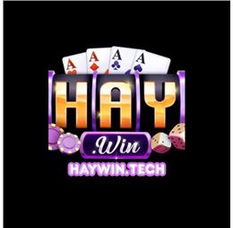 haywintech1