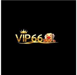 vip66ink