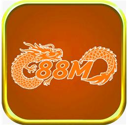 88Minfo