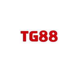 tg88surf