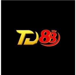 td88fashion