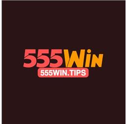 555wintips