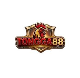 ceotranthanhdong