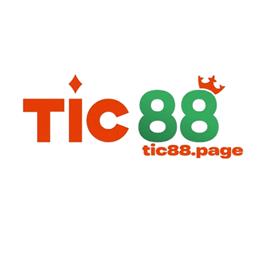 tic88page