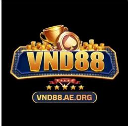 vnd88aeorg