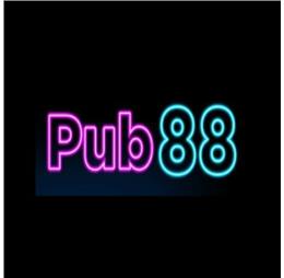 pub88tech