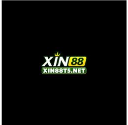 xin88t5net