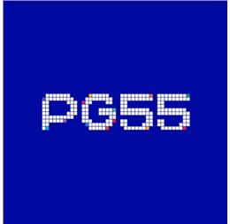 pg555paycom