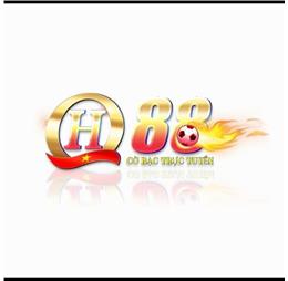 qh88zzcom