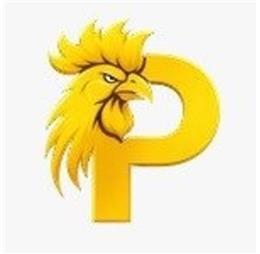 paitosdylottoio1