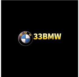 33bmw3org1
