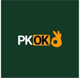 pkok18net1