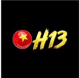 h13cam