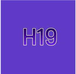 h19site
