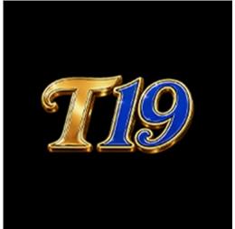 amt19com